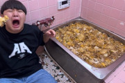 浴槽にチーズ牛丼を敷き詰めて炎上したユーチューバー、とんでもない声明を発表してしまう