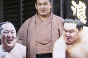 【動画】大相撲朝青龍の甥っ子、豊昇龍が優勝なら大関昇進か❓❗