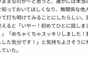 日本人「小池百合子も紹介した東京都のバンクシーの絵を描いたのは私だ。正直すまなかった。」
