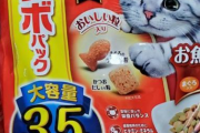 【画像】手取り2万円フリーターの夕飯がヤバイｗｗｗｗｗｗｗｗ