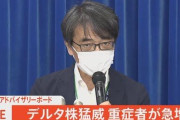 【郎報】デルタ株、なんJ民量産へ　後遺症で頭が悪くなる　20代30代も