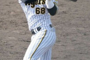【朗報】阪神タイガース、うっかり戦力が豊富になってしまうｗｗｗｗｗｗｗｗｗｗｗｗｗｗｗ