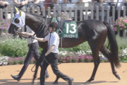 【競馬予想】[2]第72回中京記念(GⅢ)/2024