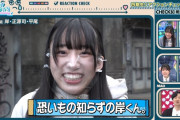 【日向坂46】苦手なものあるのかな