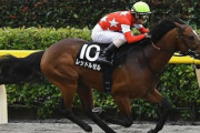 【競馬予想】[2]第41回フェブラリーステークス(GⅠ) /2024