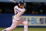 ヤクルト・田中浩康(31) .225(227-51) 0本 14打点 OPS.536