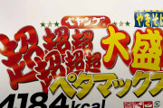 「ペヤング 大盛ペタマックス 4184kcal」の実物の大きさがこちらｗｗｗｗｗ（画像）