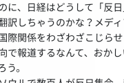有識者「韓国がやっているのは「反安倍運動」で「反日運動」ではない。メディアに騙されるな」