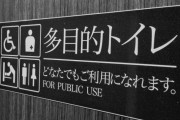 酔って多目的トイレで寝ていた男、駅員同伴でドアを開けた車椅子の男性に暴行　顔を複数回蹴り逮捕
