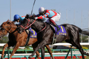 皐月賞２着馬サリオスは日本ダービー参戦決定　鞍上は引き続きレーン