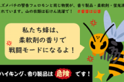 【悲報】スズメバチさん、柔軟剤の匂いを嗅ぐとブチ切れると判明