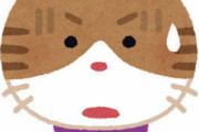 【画像あり】猫「なんだコイツ……」