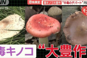 恐怖の毒キノコ“大豊作”　「内臓破壊」「呼吸困難」の恐れ　食べた家族が全員入院も