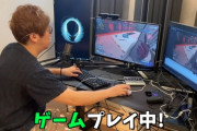 【悲報】ヒカキンさん、ネットゲームで迷惑行為をしていた