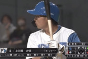 日ハム上川畑とかいう掘り出し物