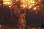 たった今、sekiro2週目クリアしたけど何か質問ある？