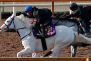 【競馬】ソダシがチャンピオンズＣでダートに初挑戦！須貝師「１回試してみてもいいかなと。今後も見据えてね。」