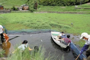 【淡路島】「もはや住民だけでは防げない」特定外来生物の水草ナガエツルノゲイトウが畑に広がる…