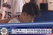 ヤクルト打者の神宮成績ｗｗｗｗｗｗ