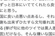 【悲報】NY在住の女性、NYの治安の悪さをツイートしただけで袋叩きにされる