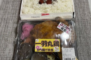 【画像】デカ盛り弁当(1200円)買ってきたぞ