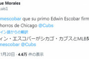 元DeNAエスコバー、カブスとMLB契約で合意か