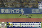【ヤクルト対阪神21回戦】阪神・熊谷ファインプレー！！！！！！！！！！！！！！！！！！！