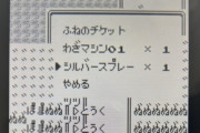 【悲報】ゲームの謎すぎる「バグ」ってなんかワクワクするよな