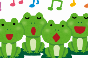 カエルの歌とかいう謎の歌ｗｗｗｗｗｗｗ