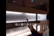 【動画】Z世代さん、回転寿司で他人のオーダーにわさびを付ける