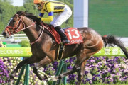 【競馬】　ザダルとデゼル、ムジカとカデナ、