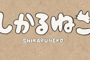 『しかるねこ』作者「作者に直接『あなたの描くキャラクターに欲情しています』とメッセージを送る『異常さ』に気づいてほしい」