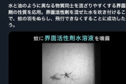 【朗報】蚊を飛べなくする新兵器、発明されるｗｗｗｗｗ