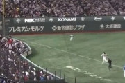 【悲報】WBC日本×イタリアでファウルフライを取ろうとした観客、炎上する（動画）