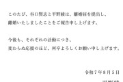 【悲報】声優・平野綾さん、離婚