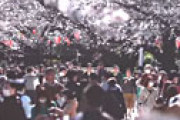 連休中に上野公園で花見をした男性が新型コロナ感染　静岡県が会見へ