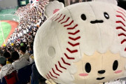 【悲報】侍ジャパン公式マスコットたまべヱ、消える