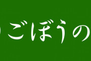 ごぼうの党・奥野代表、メイウェザー花束投げ捨てした理由がコチラ → ｗｗｗｗｗｗｗｗｗｗｗｗｗｗｗｗｗｗｗｗ