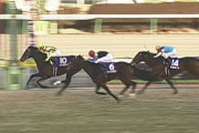 【競馬】ハーツクライが有馬記念買った時の雰囲気