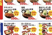 【画像あり】こういうのでいいんだよという究極の「カツ丼」ついに見つかる