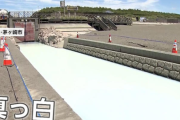 【画像】神奈川の水路、真っ白になる。予想以上に真っ白で草ｗｗｗｗ