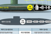 【韓国の反応】韓国、米に原子力潜水艦の燃料供給要請 ... 米は難色