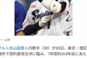 【誤植】ヤクルト山田哲人さん、今期たったの10打点でシーズン終わる