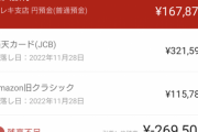 ぼく貧乏人、クレカ請求額が多すぎて赤字に（※画像あり）
