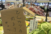 スーパー「トンカツの　肉より高い　キャベツかな」→「これくらいが適正価格」農業関係者の声も