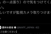 【悲報】町山「外国人ヘイトを拡散するつるの剛士が賛美される日本でオリンピックは可能なのでしょうか」
