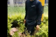 【動画】中国で男が草むらで女性を襲撃