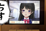 Vtuber 月ノの雑談見たけどエリーが挨拶する時膝着いたって話面白すぎんか？←個人的にはあの話も面白かったぞｗｗｗ