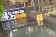 【動画】新潟でホテルの地下駐車場が完全水没してしまう。