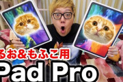 【速報】ヒカキン、飼い猫のためにiPadProフルスペックを2台購入する